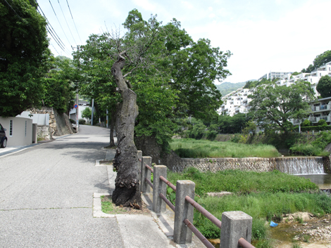 20140602hike (6)